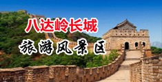 免费放黄色操逼视频网站中国北京-八达岭长城旅游风景区